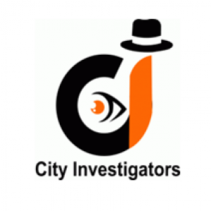 cityinvestigatorsdelhi