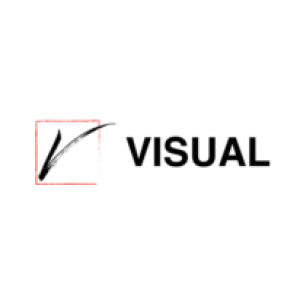 visualdigitalmarketing