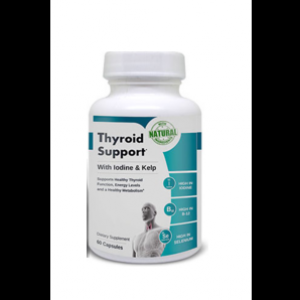 thyroidsupport