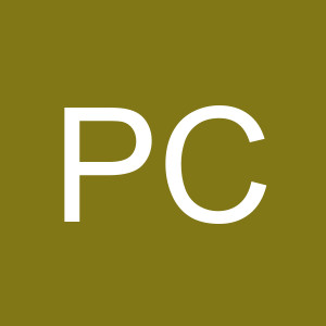 PPCConsultant11
