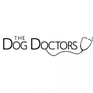 thedogdoctors