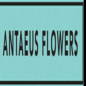 antaeusflowers