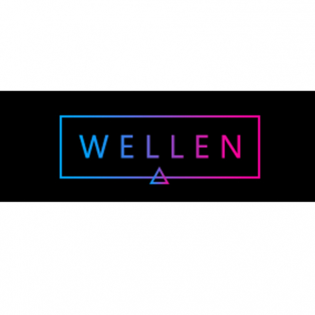 wellen4