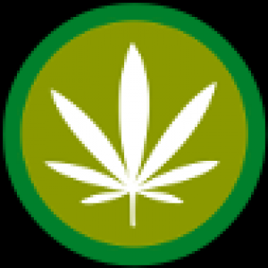 bytopcannabisonline