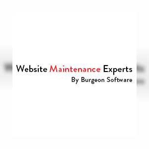 websitemaintenance