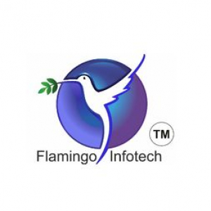 flamingoinfotechdelhi