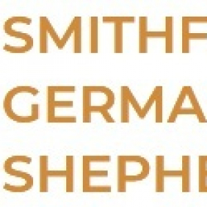 smithfarmsgermanshepherds