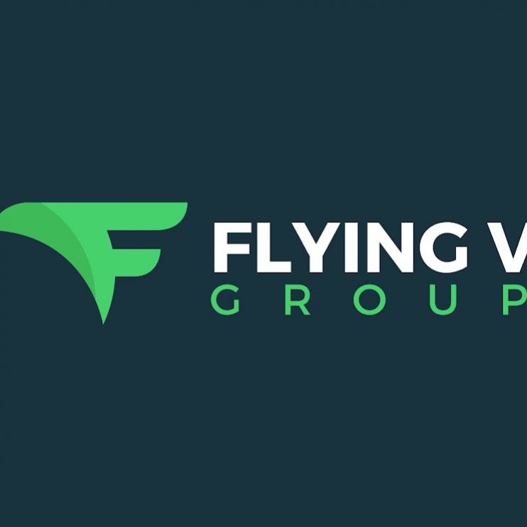 flyingvgroup1