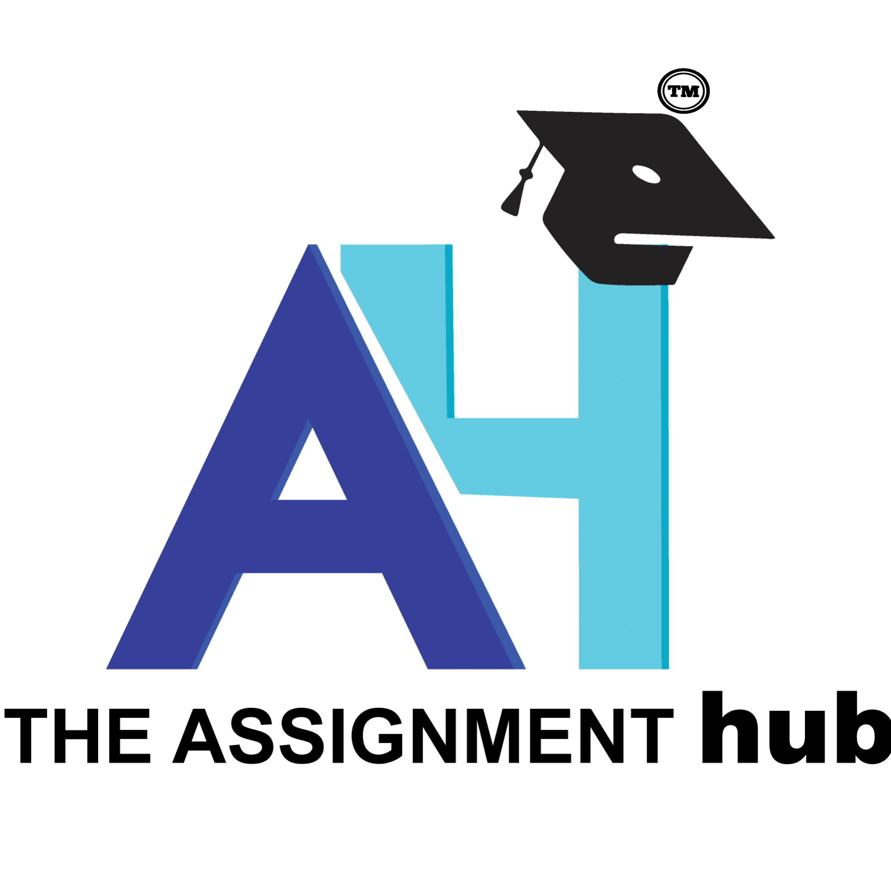theassignmenthub0
