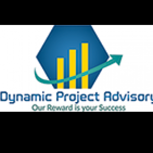 dynamicprojectadvisory