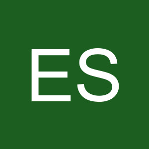Expert_SEO_Services