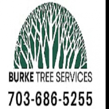 burketreeservices