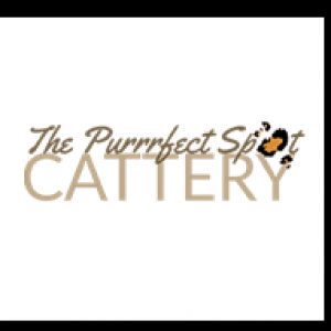 purrfectspotcattery