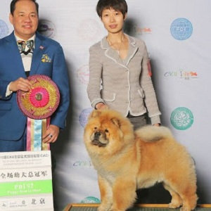 yanhuangkennel