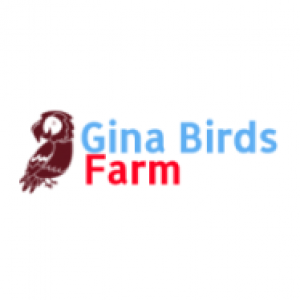 ginabirdsfarm
