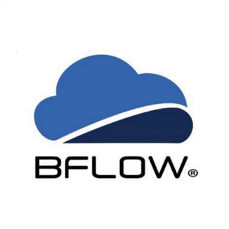 bflowsolutionsinc