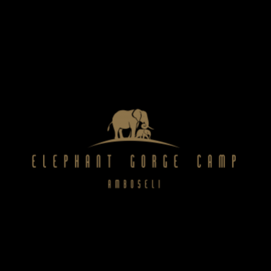 elephantgorgecamp