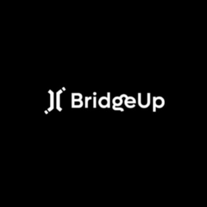 bridgeup