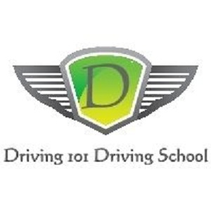 driving101drivingschools