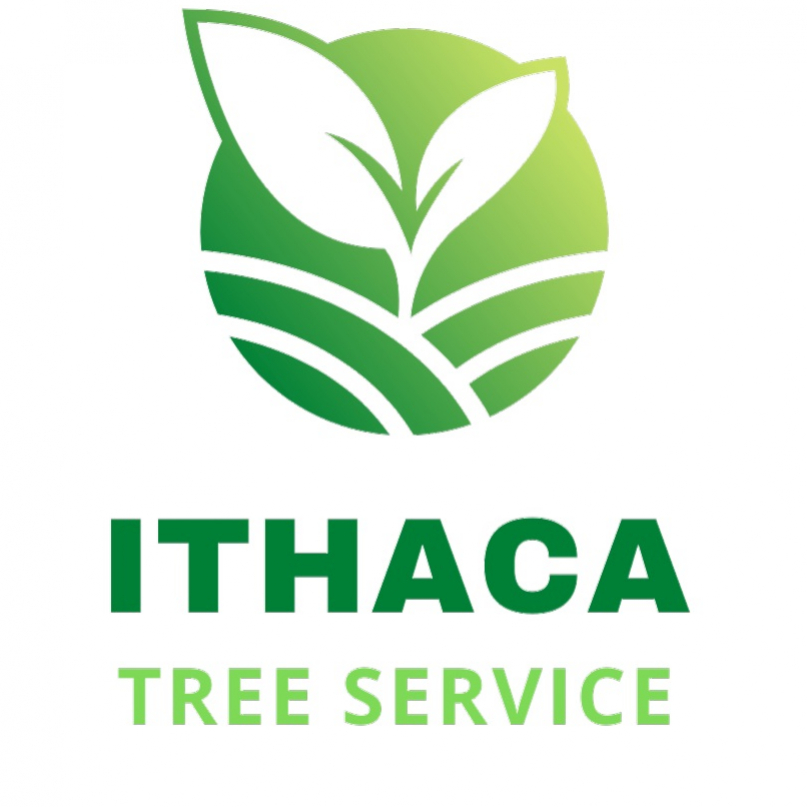 ithacatreeservice
