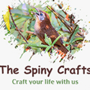 thespinycraft