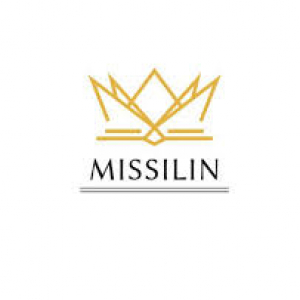 missilin2022