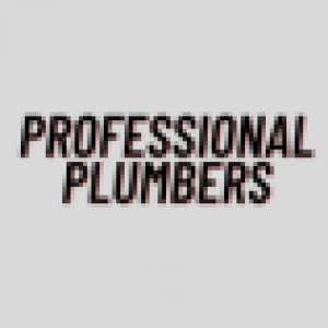 professionalplumbers