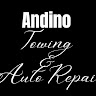 Andino1