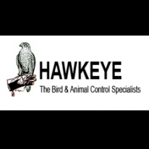 Hawkeyebirdcontrol