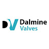 Dalmine1