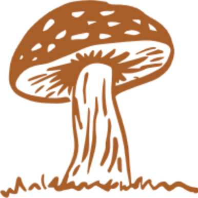 organicshroomca