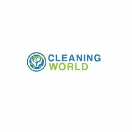 cleaningworld1