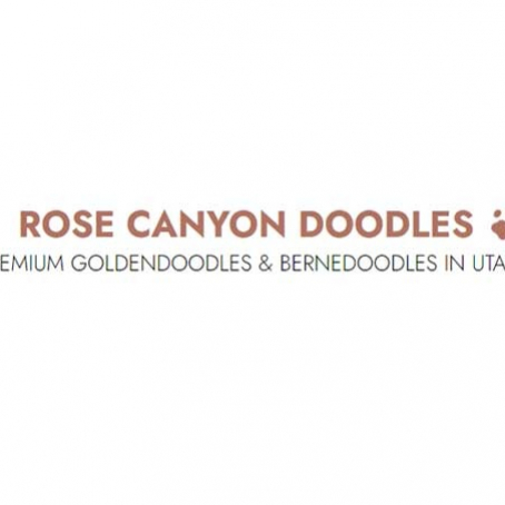 rosecanyondoodles