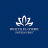 whiteflowerdevelopers