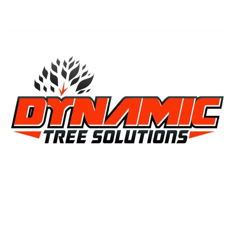 dynamictreesolutions