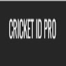 Cricket13