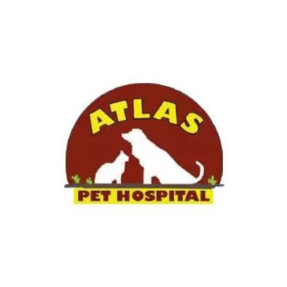 atlaspethospital