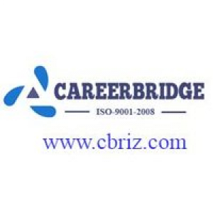 careerbridge