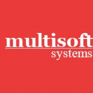 multisoftsystem