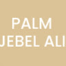 Palm11