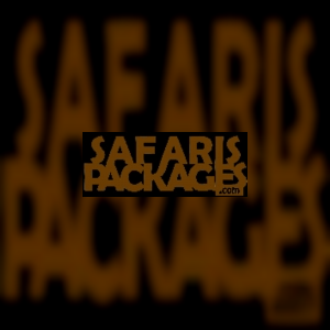 safarispackages