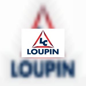 loupinconstruction