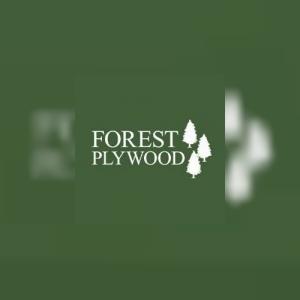ForestPlywood