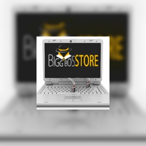 BiggBossStore