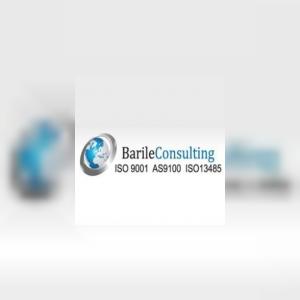 Barileconsulting