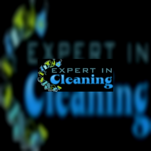 expertincleaning