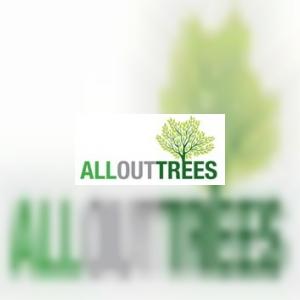 allouttrees1