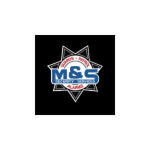 mssecurityservices