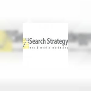 searchstrategy