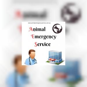 animalemergencyservice